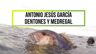 ✅⭐️ DENTONES y LIMON Pesca submarina desde Orilla con Antonio Jesus Garcia