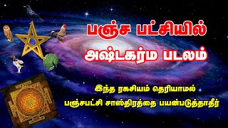 பஞ்ச பட்சியில் அஷ்டகர்ம படலமும் | இந்த ரகசியம் தெரிந்தால்    வெற்றி நிச்சயம் | PANJA PATCHI SASTHRA