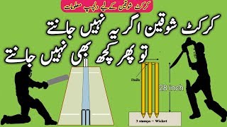 Interesting Cricket Informations in Urdu Hindi | Top 10 Catches | PSL Live Ptv Sports