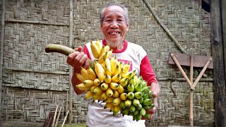 CUMA PISANG YANG BISA DI SODAKOHKAN UNTUK TETANGGANYA MBAH SUROJO