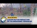 [HEADLINE NEWS, 12/09]  Lahan Hutan di Tulungagung Dekat Permukiman Terbakar