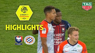 SM Caen - Montpellier Hérault SC ( 2-2 ) - Highlights - (SMC - MHSC) / 2018-19