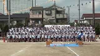 【川崎市立橘高校体育祭】青団応援【２０１３年度】