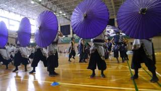 華舞龍 倖龍 1回目　第6回はんなりよいしょ祭