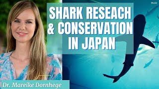 Shark Research + Conservation in Japan Talk with Dr.Mareike Dorhege #ssl222