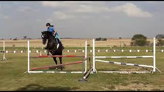 EC Johren Golden Assault (2 of 2) - EquineSA.com Horse for Sale