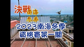 「恆盟賽鴿網」正在直播！2023年南海冬季資格賽第一關現場直播等鴿#賽鴿 #pigenos #恆盟賽鴿網 #線上等鴿#冬季比賽#資格賽第一關#Taiwan#TaiwanPigeonSeaRace