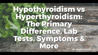 Hypothyroidism vs Hyperthyroidism: The Primary Difference, Lab Tests, Symptoms & More