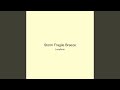Storm Fragile Breeze