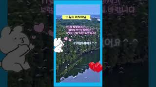 좋은아침! 11월 마지막날 멋지게 마무리 하세요 건강하세요 화이팅^^