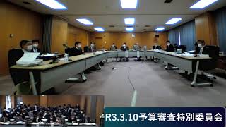 R3.3.10 予算審査特別委員会