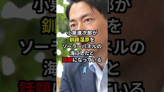 小泉進次郎が釧路湿原をソーラーパネルの海にしたと話題に！？#shorts #ニュース