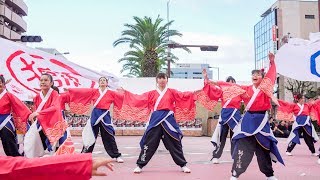 [4K] 獅子虎隊　安濃津よさこい 2018　1日目　フェニックス会場 (中央)