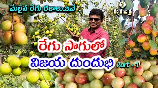 రేగు సాగులో విజయ దుందుభి Part - 1 || Best Apple Ber Varieties Part - 1 || Karshaka Mitra