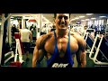 SADIK HADZOVIC - Best Motivational Speech Video for Success