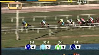 Gulfstream Park Race 9 / February 19, 2015