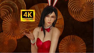 【HS2 4K60FPS MMD】Bunny girl Tifa 兔女郎蒂法