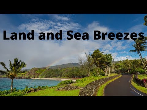 Why do sea breezes occur during the day and land breezes occur at night?