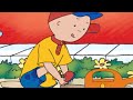 Caillou Gets Wet | Caillou | Cartoons for Kids | WildBrain Kids