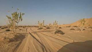 Oman - The Empty Quarter Desert - RUB AL KHALI