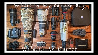 Whats In My Camera Bag | Wildlife Photography