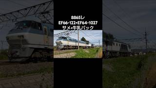 【サメ+牛乳パックの8865レ】 EF66形122号機+EF64形1027号機