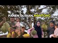 PANEN DURIAN MONTONG