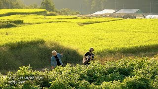 이문세 - 깊은 밤을 날아서🌟 (Cover by 뜐뜐)