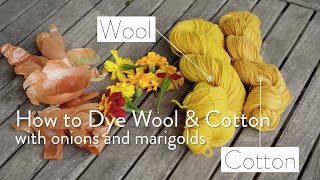 Naturally Dye Your Textiles with Marigolds and Onions: An experiment!