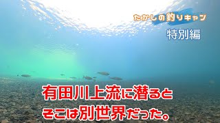 特別編 和歌山有田川上流にもぐるとそこは別世界だった。