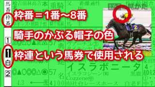 新聞　競馬ブックの見方　枠番馬番欄