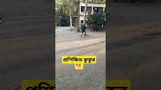 কুকুর খুবই প্রভূ ভক্ত হয় ,না দেখলে হয়তো বিশ্বাস হতো না 🐕🥰,। #dog #viral @kidstvsongs