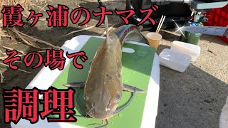 【釣り】霞ヶ浦のアメリカナマズを釣ってその場で食べる!!〜釣り編〜【野食】【特定外来生物】