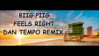 BIIG PIIG   FEELS RIGHT  DAN TEMPO REMIX