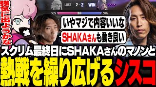 【CRカップ】スクリム最終日に、SHAKAさんと熱戦を繰り広げるシスコ【スト6/ふらんしすこ/切り抜き】