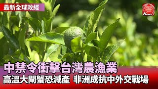 【最新全球政經】中祭禁令 文旦柚農.石斑魚養殖業者首當其衝｜中秋恐沒大閘蟹吃! 高溫導致陽澄湖蟹量大減｜美中高度對抗 分析憂：11月拜習會恐破局@globalnewstw