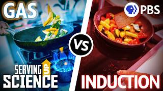 Gas vs Induction Stoves: The Heated Debate | Serving Up Science