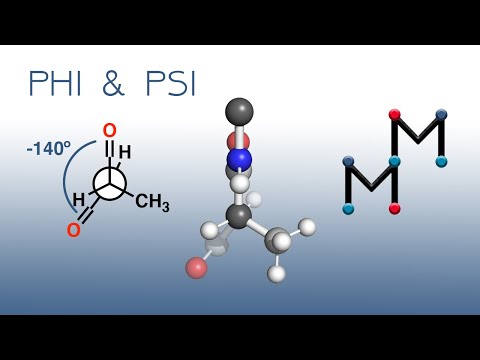 What are dihedral angles in proteins?