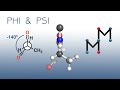 Understanding PHI and PSI Angles, Ramachandran Plots, & Newman Projections