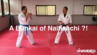 What is the REAL purpose of Kata training?  (has 10 languages subtitles)