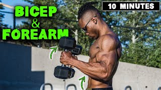 10 MINUTE LIGHTWEIGHT DUMBBELL BICEP & FOREARM WORKOUT!