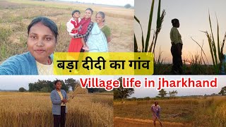 | बड़ी दीदी का गाँव जाना हुआ काम से | Adivasi life style in village | Small town GUMLA jharkhand