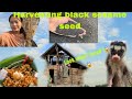 Traditional way of Harvesting black sesame seed||Found a strange animal 😱