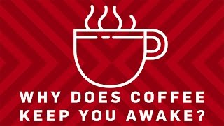 Why Does Coffee Keep You Awake? | Earth Science