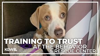 Oregon Humane Society trainers help rescue animals prepare for adoption