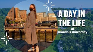 A Day in the Life: Student Union President