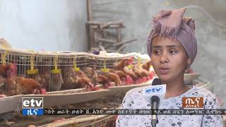 በአዲስ አበባ ለሚ ኩራ ክፍለ ከተማ በግብርና በመሰማራት ነዋሪውን ተጠቃሚ እያደረጉ ስላሉ ወጣቶች የሚያወሳ ዝግጅት