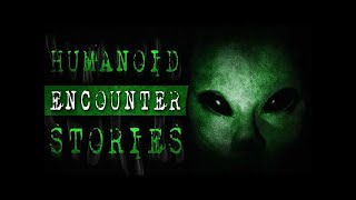 6 True Humanoid Alien Encounters From Reddit