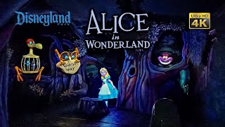 Alice in Wonderland On Ride Low Light 4K POV Disneyland 2024 08 07