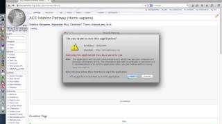 WikiPathways Java Applet Editor: MacOS10.9 - Expected Warnings